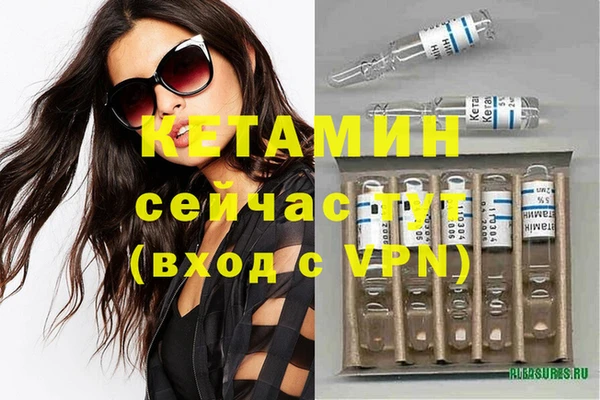 стаф Дмитриев