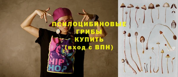 стаф Дмитриев
