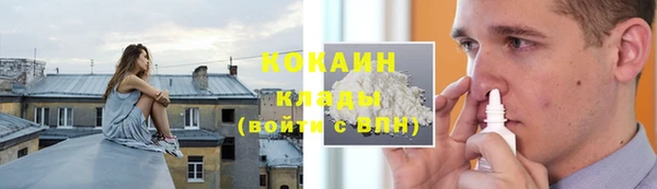 стаф Дмитриев
