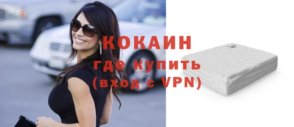 стаф Дмитриев