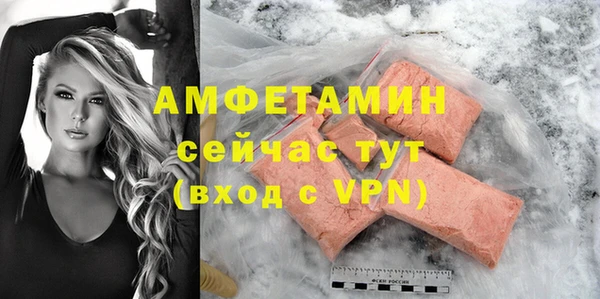 стаф Дмитриев