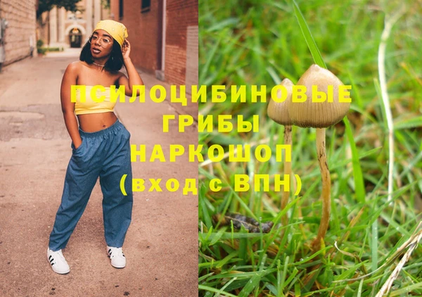 стаф Дмитриев