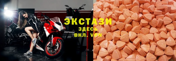 стаф Дмитриев